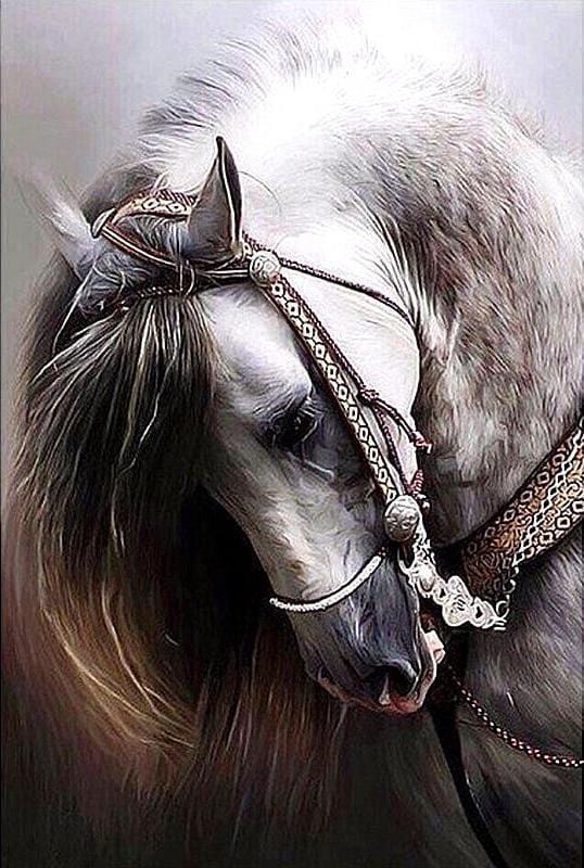 Noble Horse