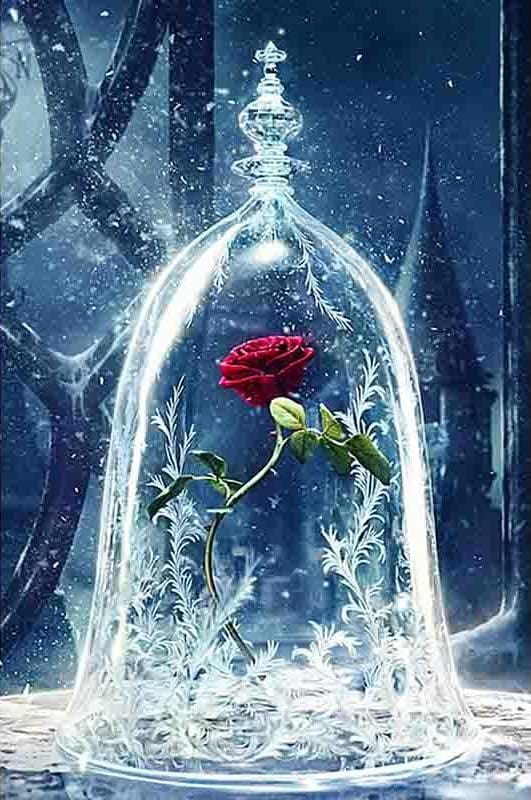 Last Petal Frost - 30x50cm (12x20in) / Square Diamonds