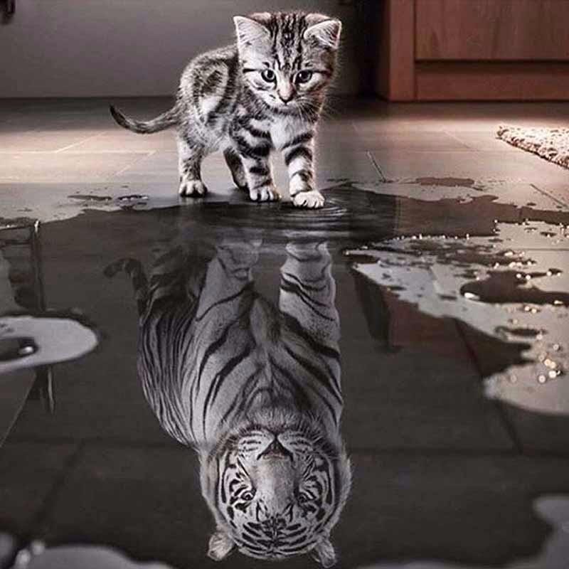 White Tiger Kitty