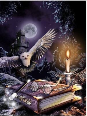 Hedwig Dark Night