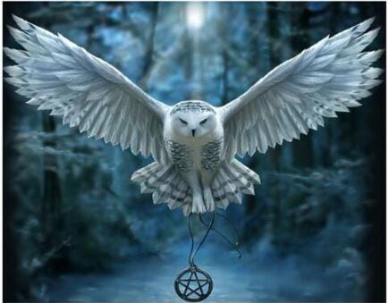 Hedwig Soaring