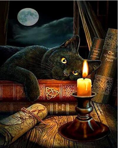Black Cat