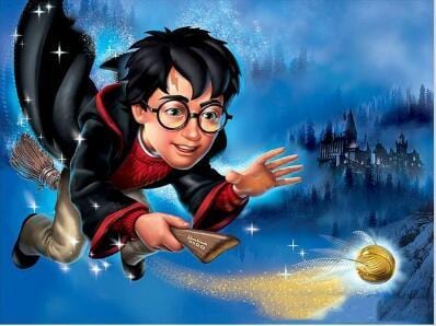 Harry Potter & The Golden Snitch